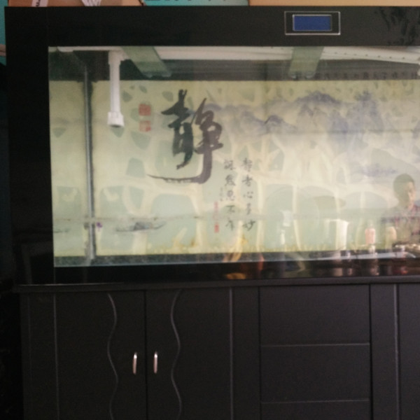 鋼琴、魚缸專運現(xiàn)場